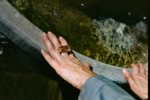 Load image into Gallery viewer, Spinning Citrine Silver Ring

