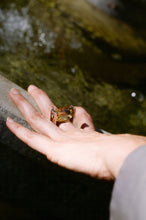 Load image into Gallery viewer, Spinning Citrine Silver Ring
