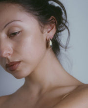 Load image into Gallery viewer, Puffy Tapered Hoops with Gold Posts
