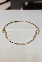 Load image into Gallery viewer, Two Piece Collar in Gold
