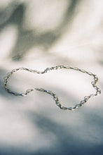 Load image into Gallery viewer, Oval Link Chain with Double Dog Clips
