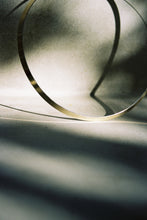 Load image into Gallery viewer, Ed Levin Fused Gold and Silver Collar
