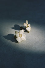 Load image into Gallery viewer, Bone Flower Studs with Gold Nuggets
