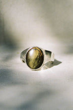 Load image into Gallery viewer, Brutalist Tiger's Eye Signet Ring

