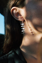 Load image into Gallery viewer, Fish Chain Earrings
